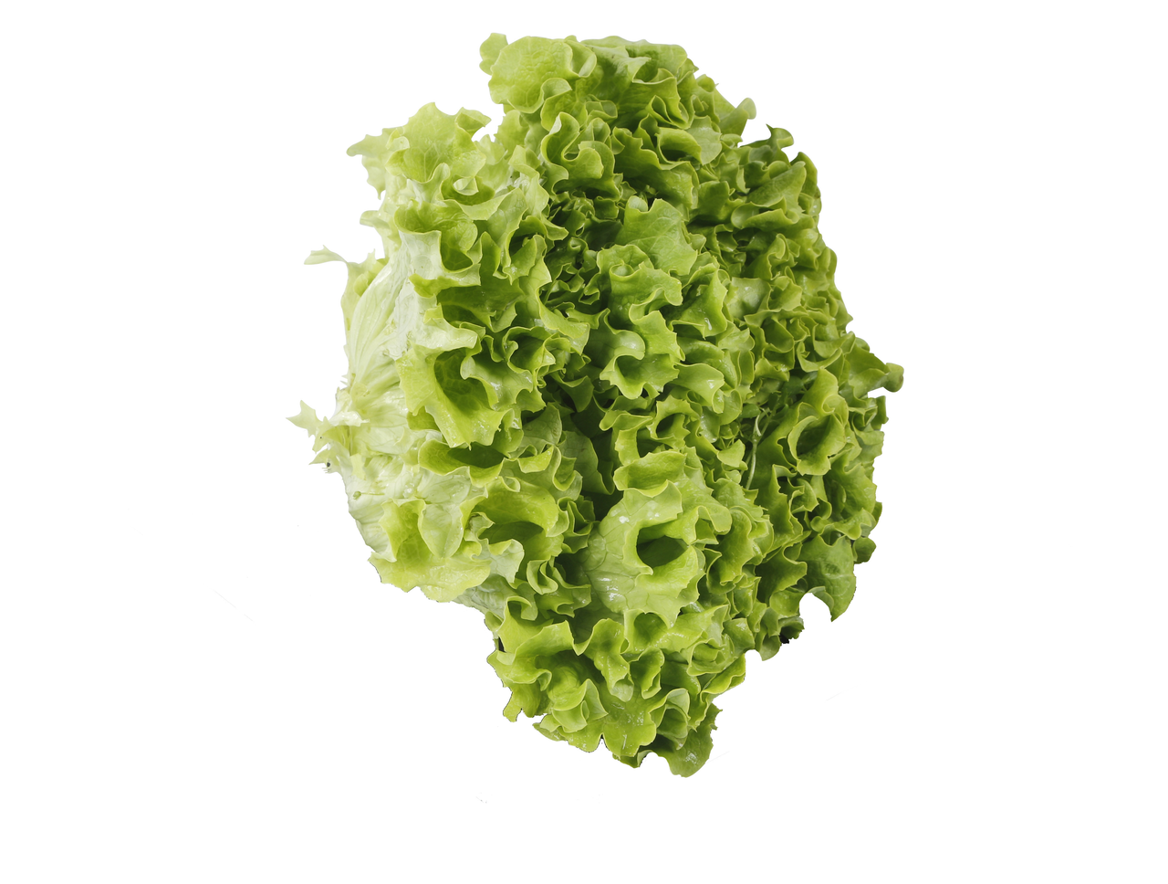 Salata kristal karton cca 4kg