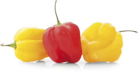 Chilli habanero mix 50g