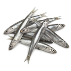 Pelagos Inćuni filet slani u suncokretovom ulju 200g