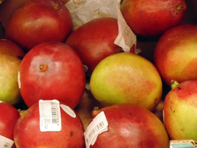 Mango 