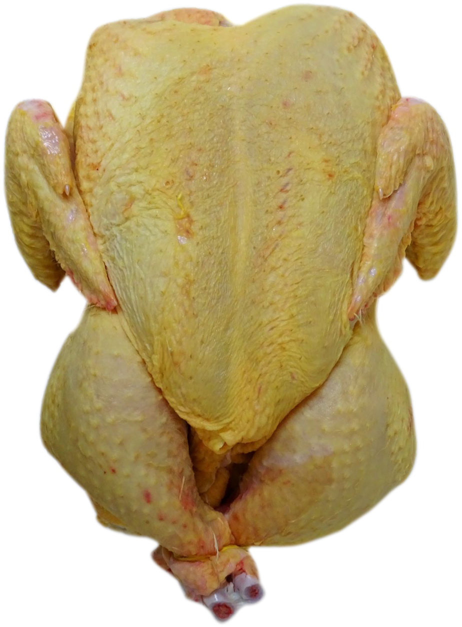 OREHOVEC Kukuriku svježe pile grill kalibro 1,20kg