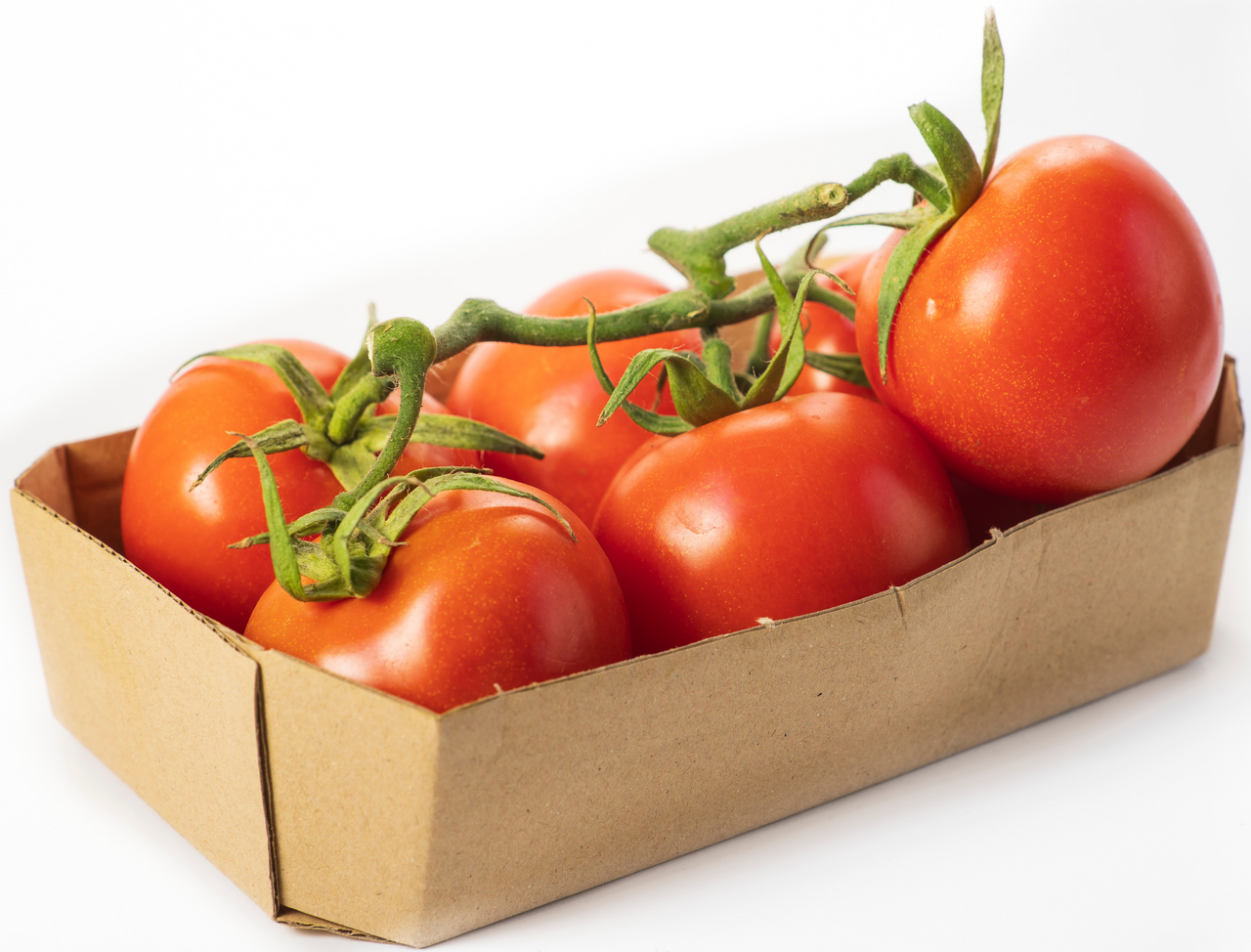 Rajčica salatna G podložak cca 1.40kg