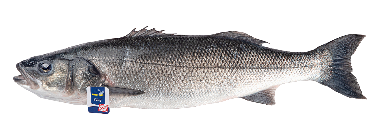 METRO Chef Brancin 1100 / 1500g