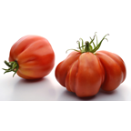 Rajčica beefstake podložak  cca 1kg