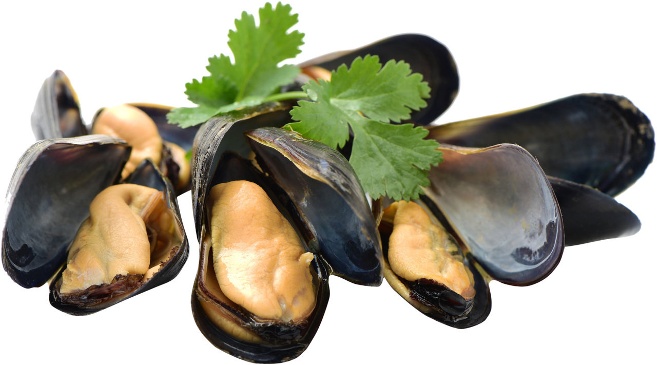 Bio dagnja cca 1kg