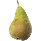 Kruška abata podložak cca 1 kg