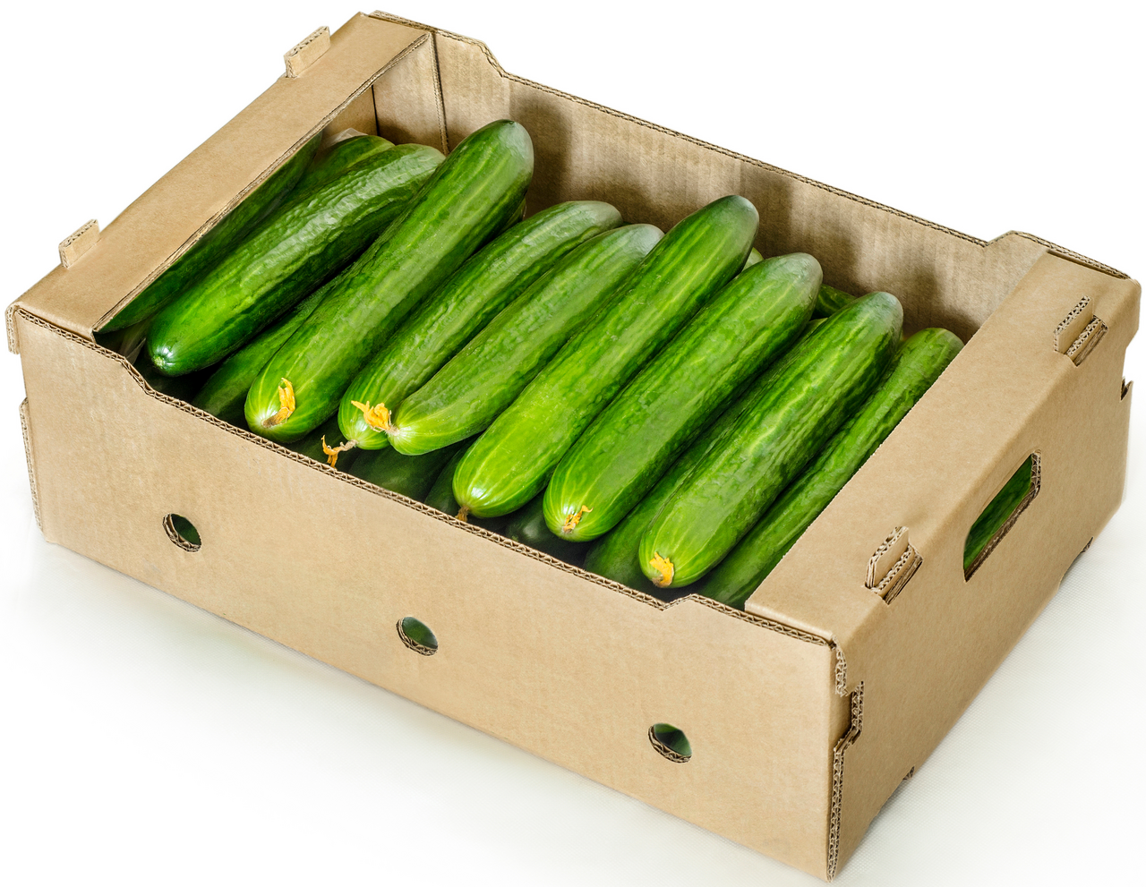 Krastavac svježi karton cca 7kg