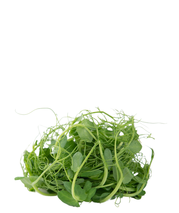 Levélmix Borsóhajtás 100 g