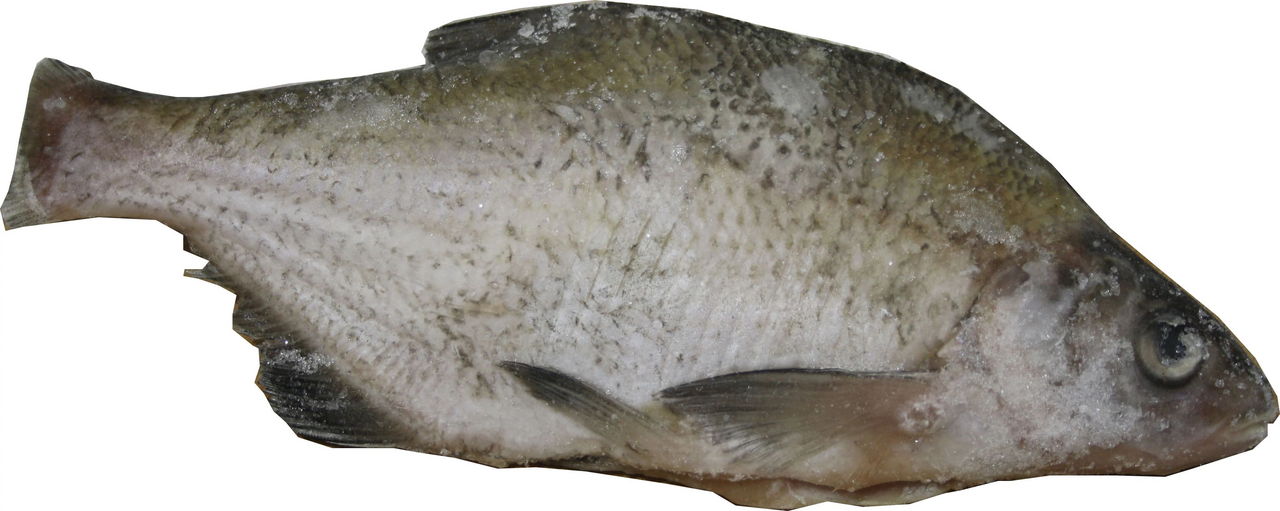 Gyorsfagyasztott Dévérkeszeg 600-1000 g