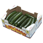 Cukkini 5 kg / karton