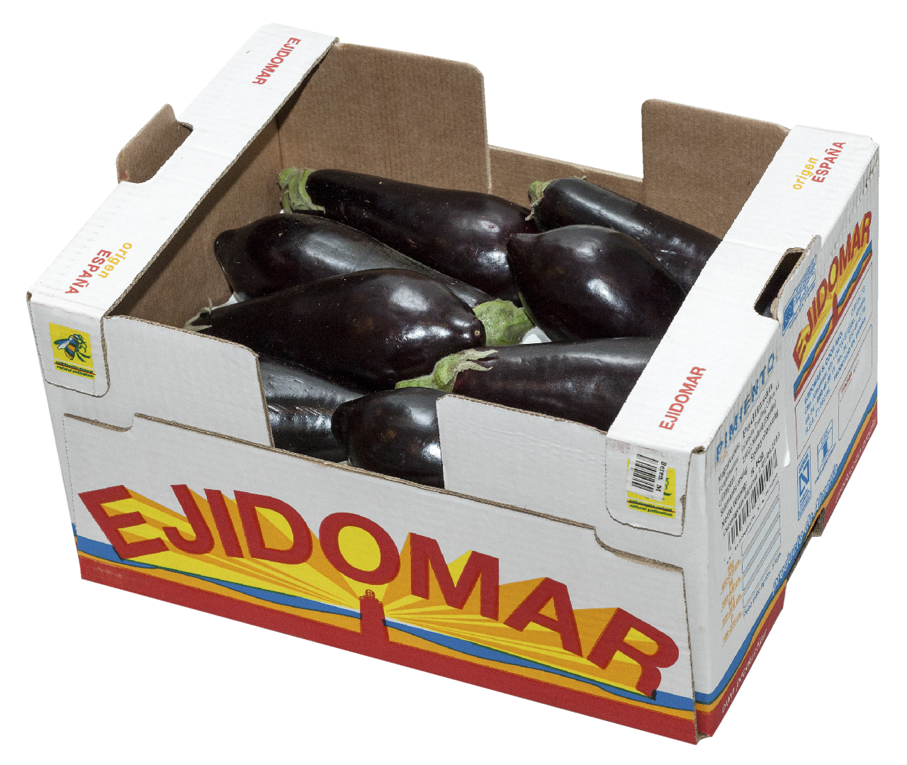 Padlizsán 5 kg/karton - szezonális