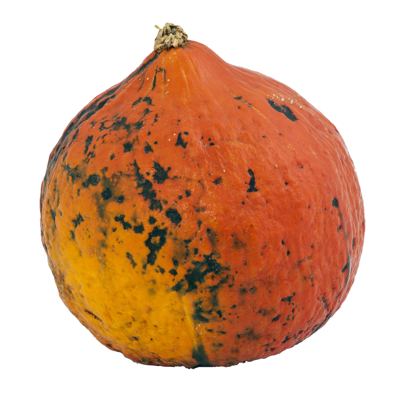 Hokkaido Sütőtök ft/kg