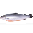 Лосось замороженный потрошеный с головой 7/8 Норвегия Супер, коробка