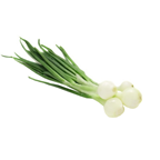 Лук зеленый