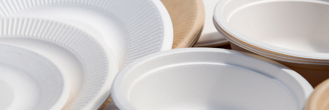 productos desechables para tu negocio