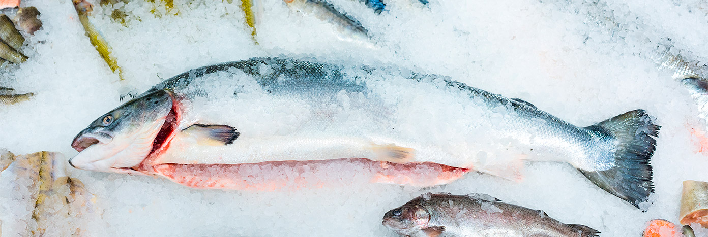 Pescados congelados para hostelería de Makro Pescados congelados para hostelería de Makro