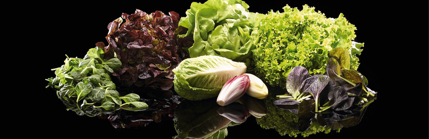 Assortiment de différentes variétés de salades Assortiment de différentes variétés de salades
