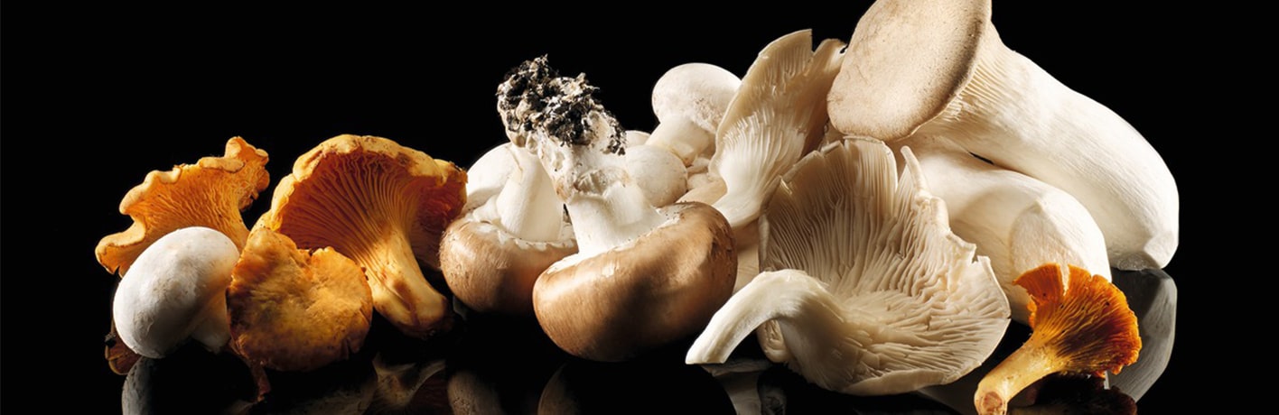 Les champignons de Paris Les champignons de Paris