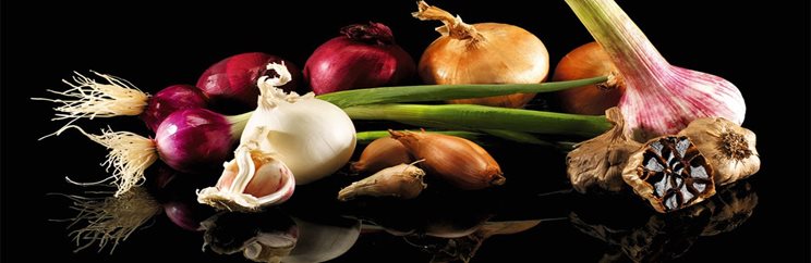 Grossiste légumes bulbes  les parfums de la cuisine  METRO