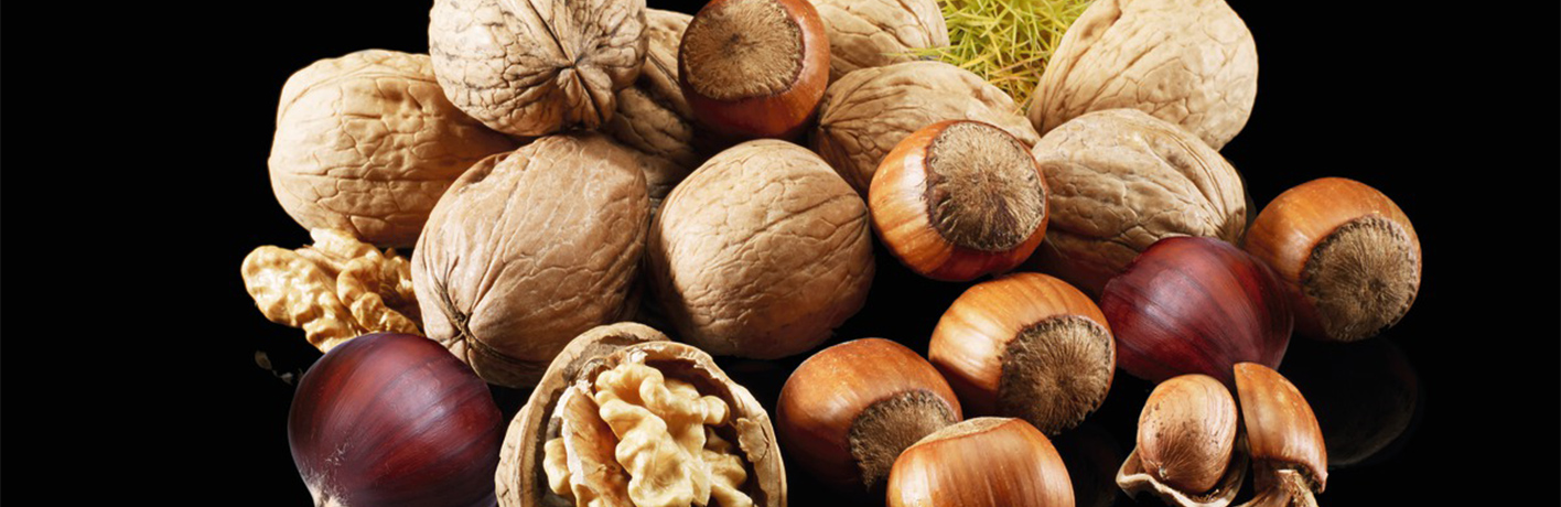 Les fruits à coques Les fruits à coques