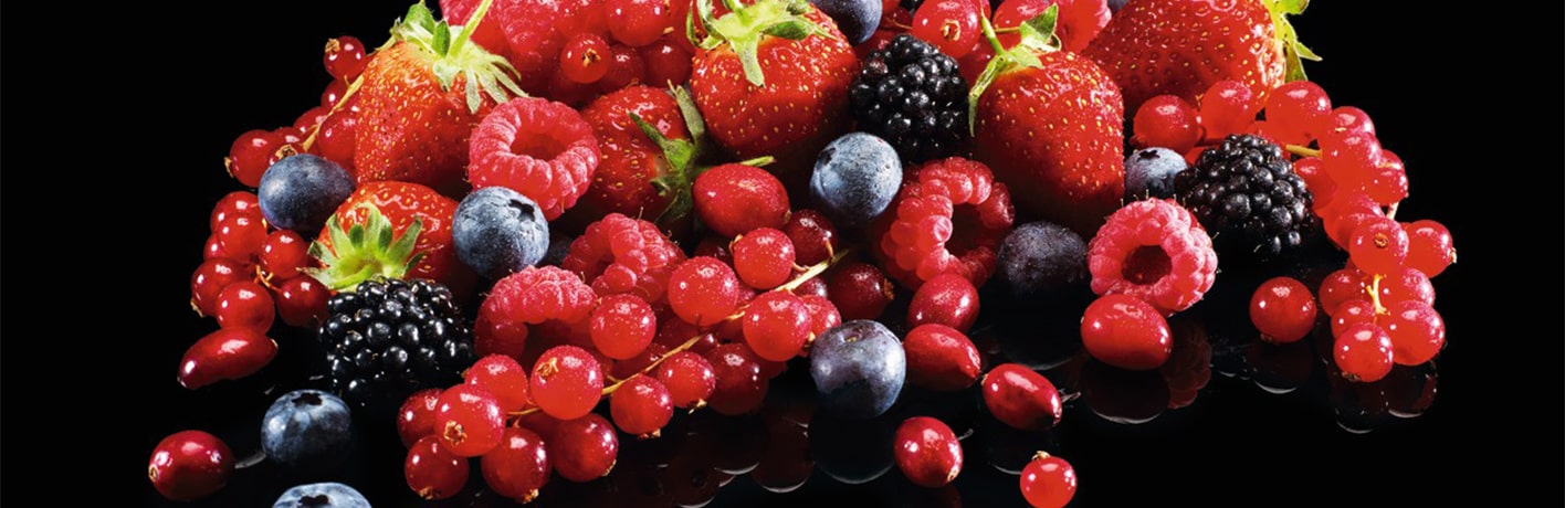 Les fruits rouges des professionnels Les fruits rouges des professionnels