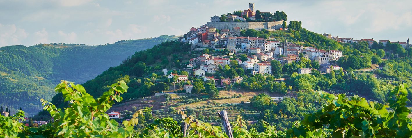 Istra vinogradi Hero Istra vinogradi Hero