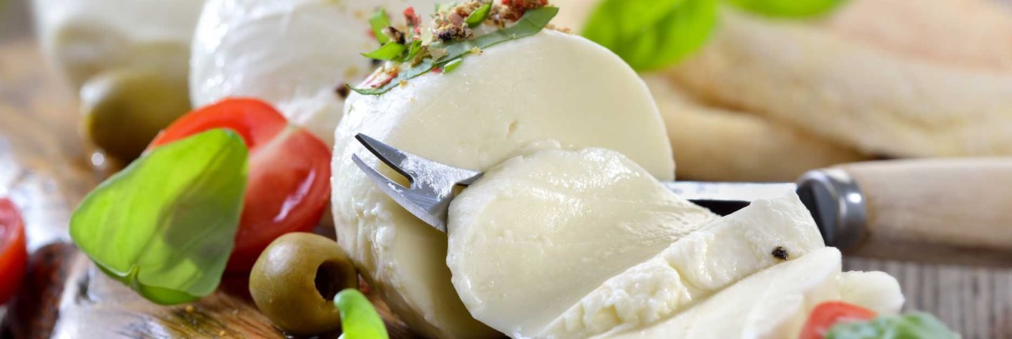 Mozzarella Mozzarella
