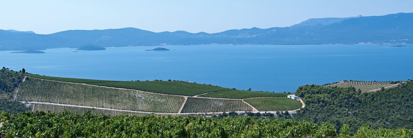 vino_dalmacija_hero vino_dalmacija_hero