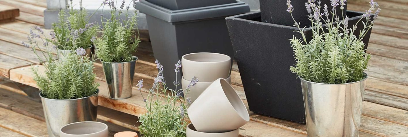 Garden header Garden header