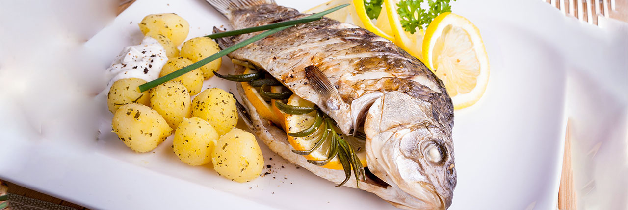 Dorada Dorada