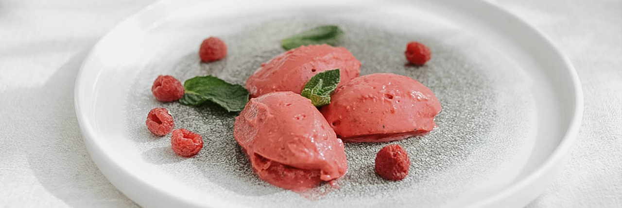 sorbet vegan sorbet vegan