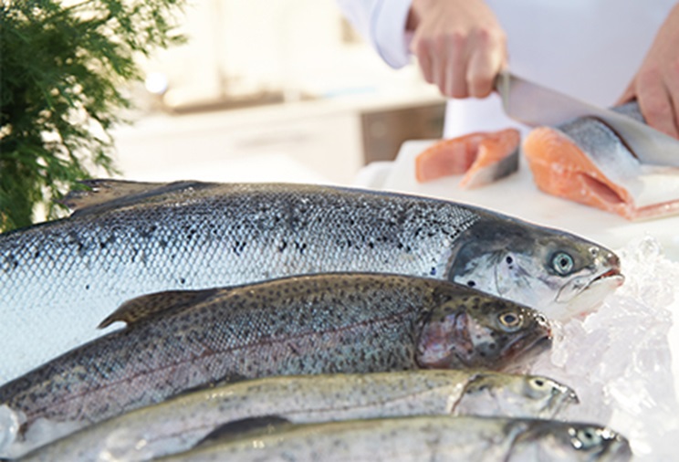 Морська риба за доступними цінами в Києві, Україні в METRO Cash and Carry