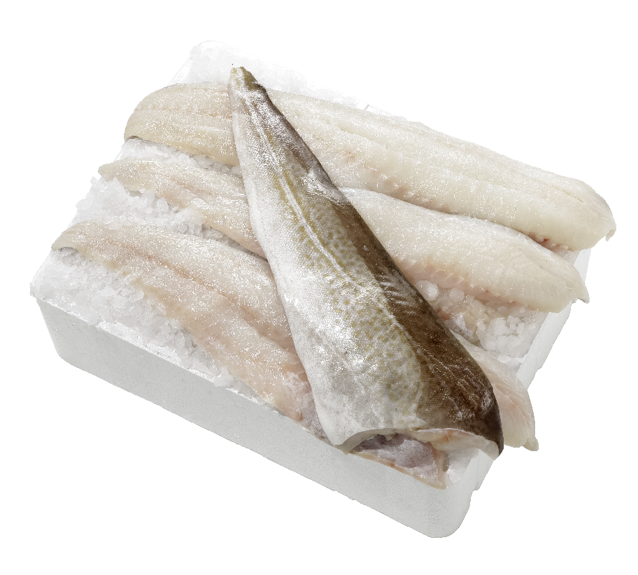 Kabeljauwfilet met vel 1 kg *