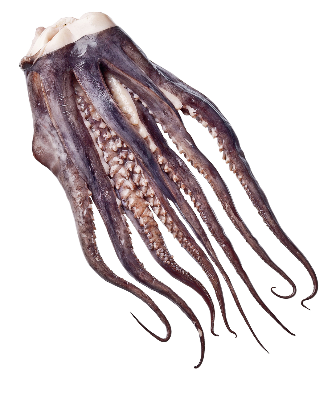 Heijer Pulpo tentakels 1 kg *