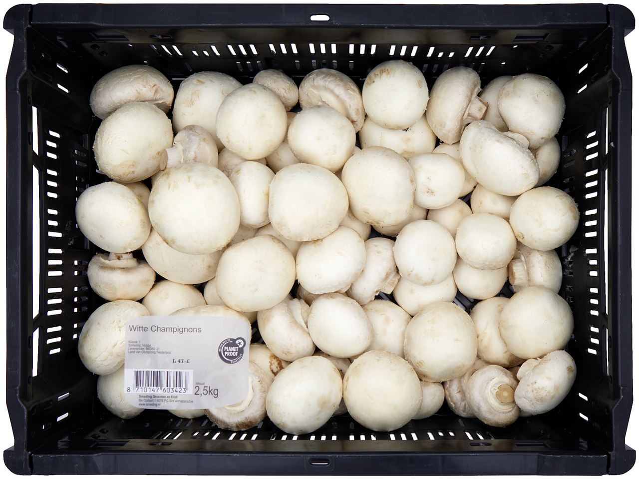 METRO Chef Champignon Middel 2,5 kg *