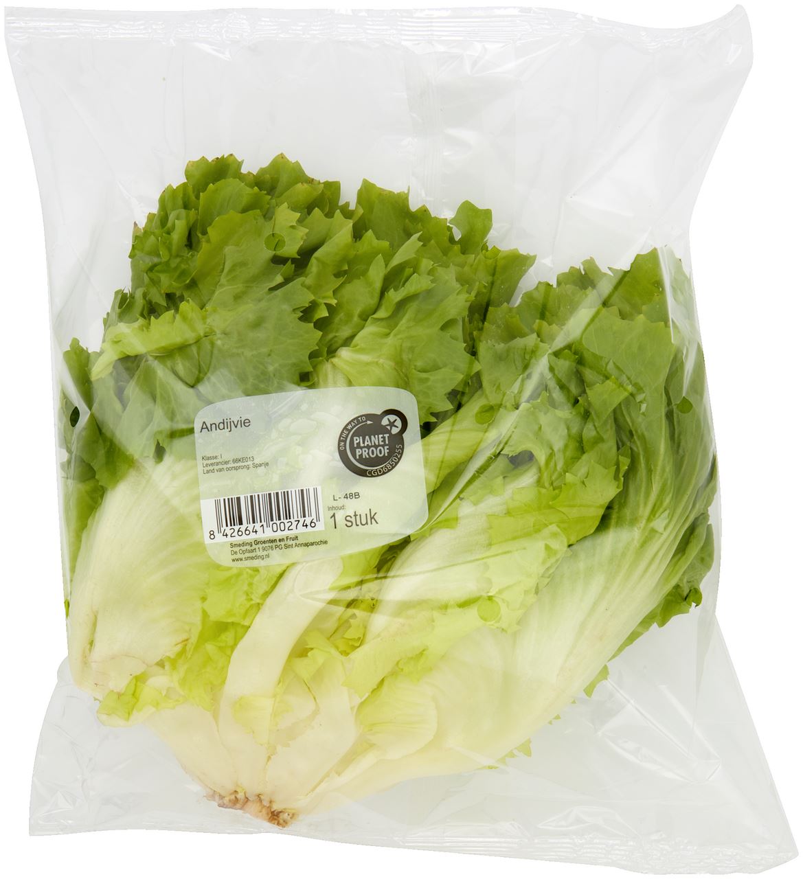 Andijvie 500 g