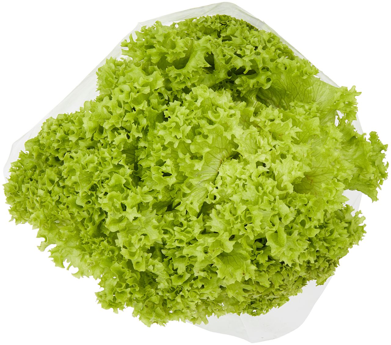 Sla Lollo Verte verpakt *