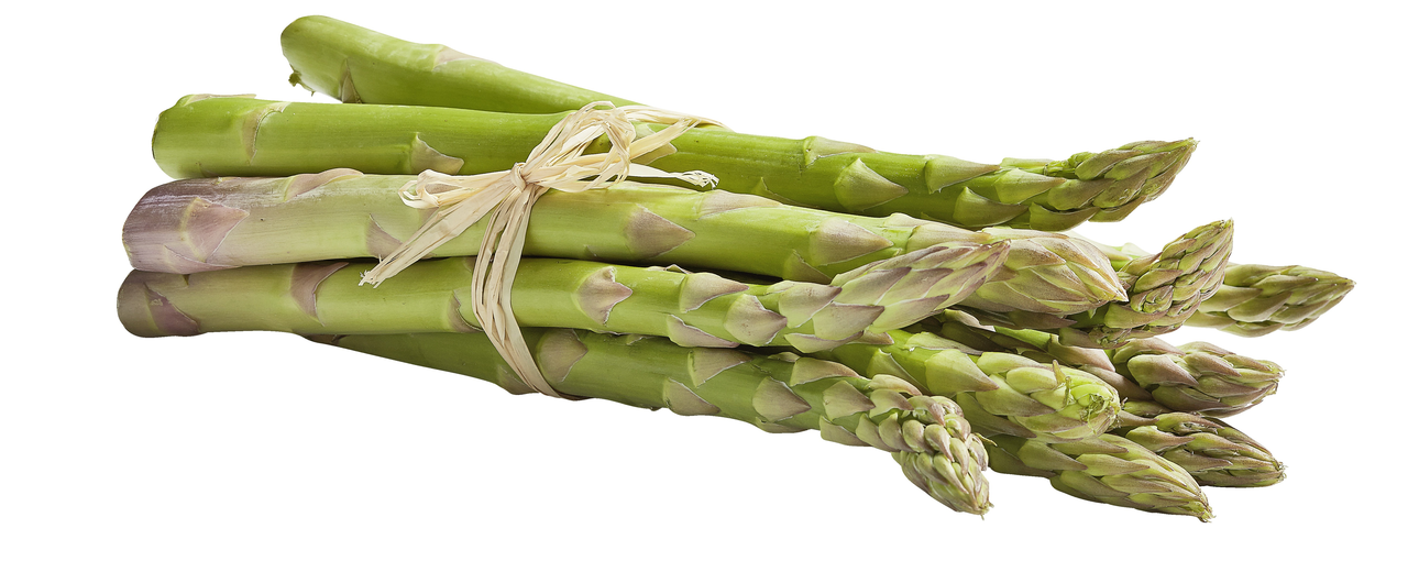 METRO Chef Verse asperges maat L 450 g *