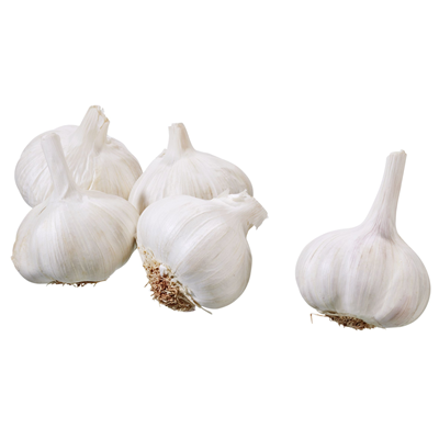 Knoflook Solo 250 Gram Makro Nederland