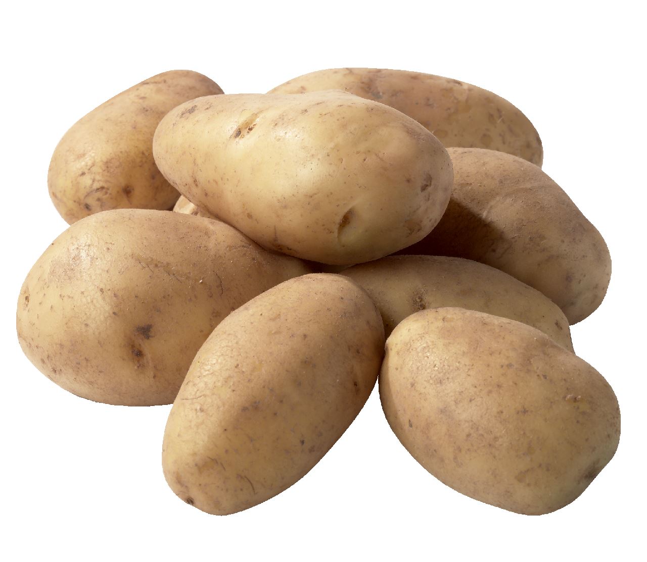 Landjuweel aardappelen Nicola 4 x 5 kg
