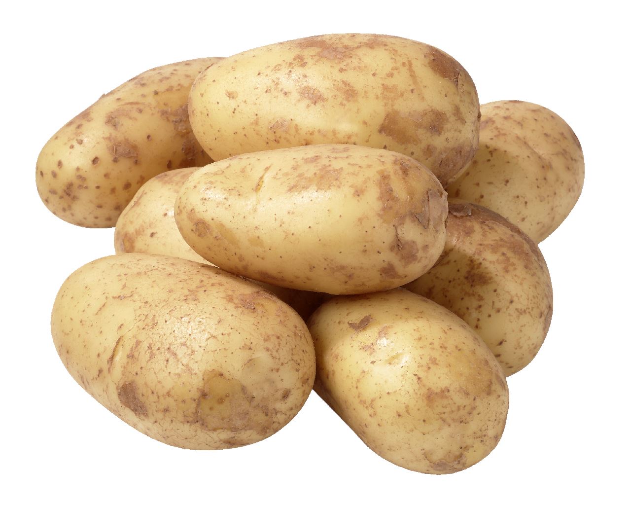 Jongens van de Klei Grove aardappelen Kruimig 4 x 5 kg *