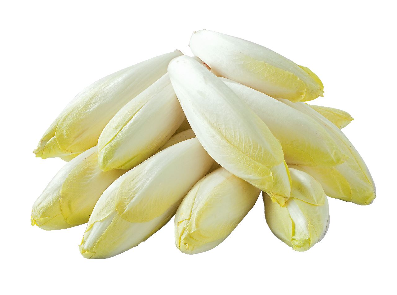 Witlof 500 g *