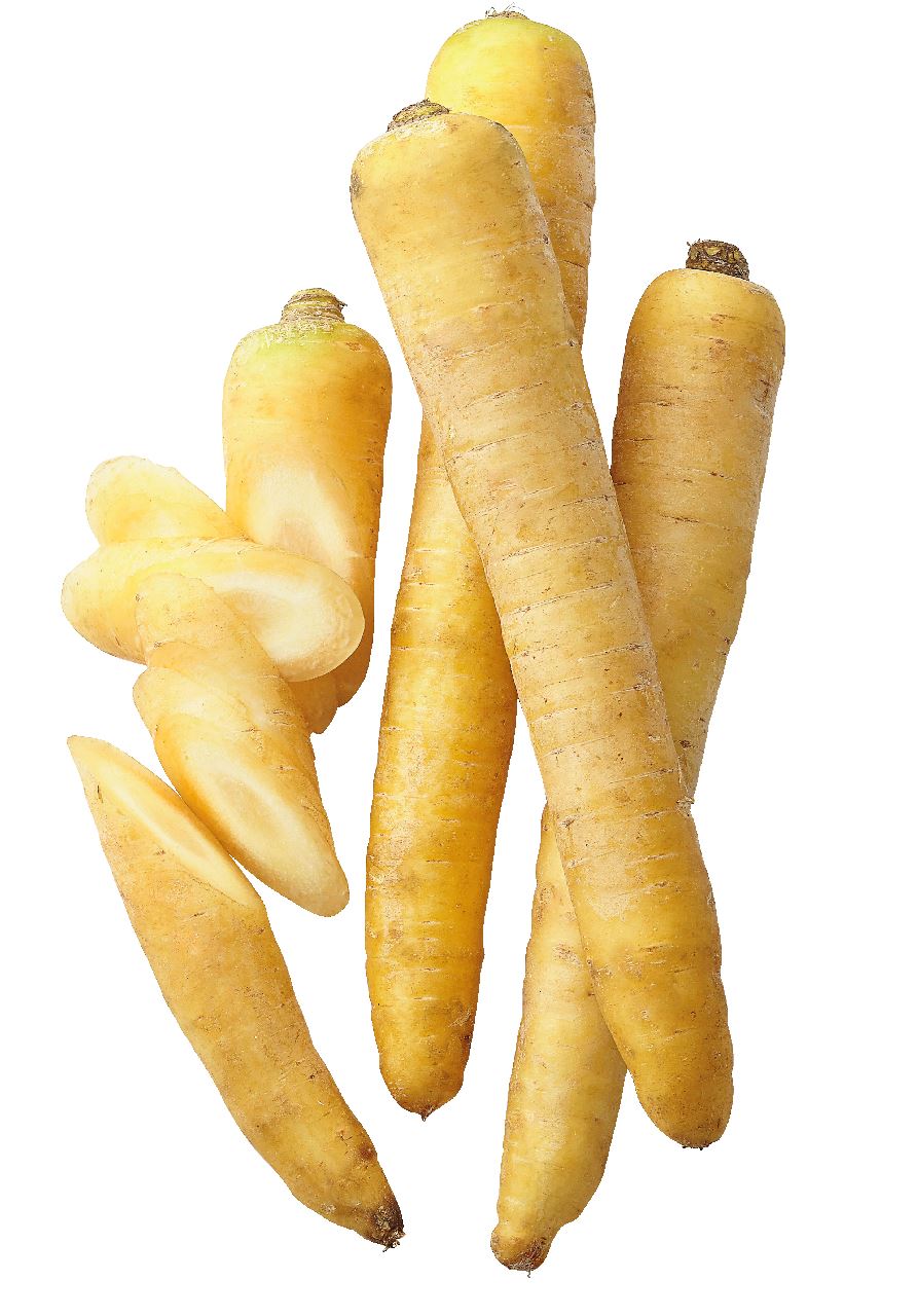 Winterpeen geel