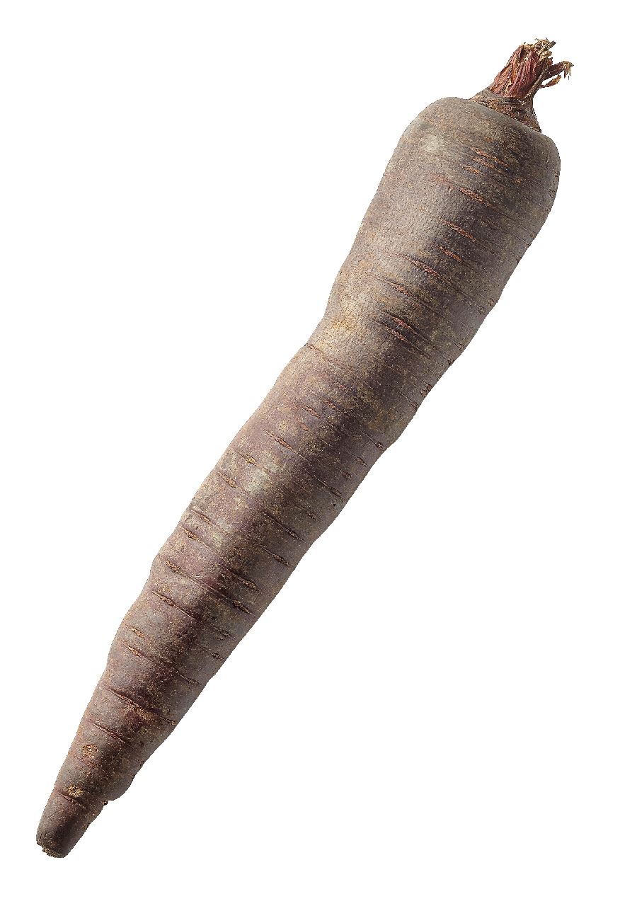 Winterpeen paars
