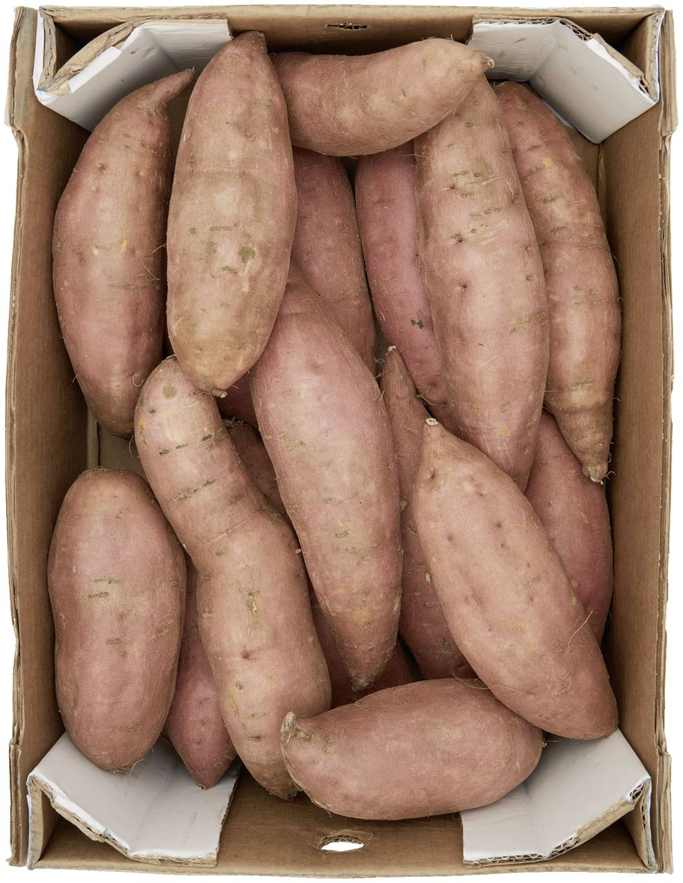 Zoete aardappel los