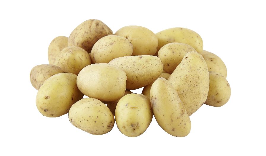 Le Bistro D'oro 4 x 2,5 kg