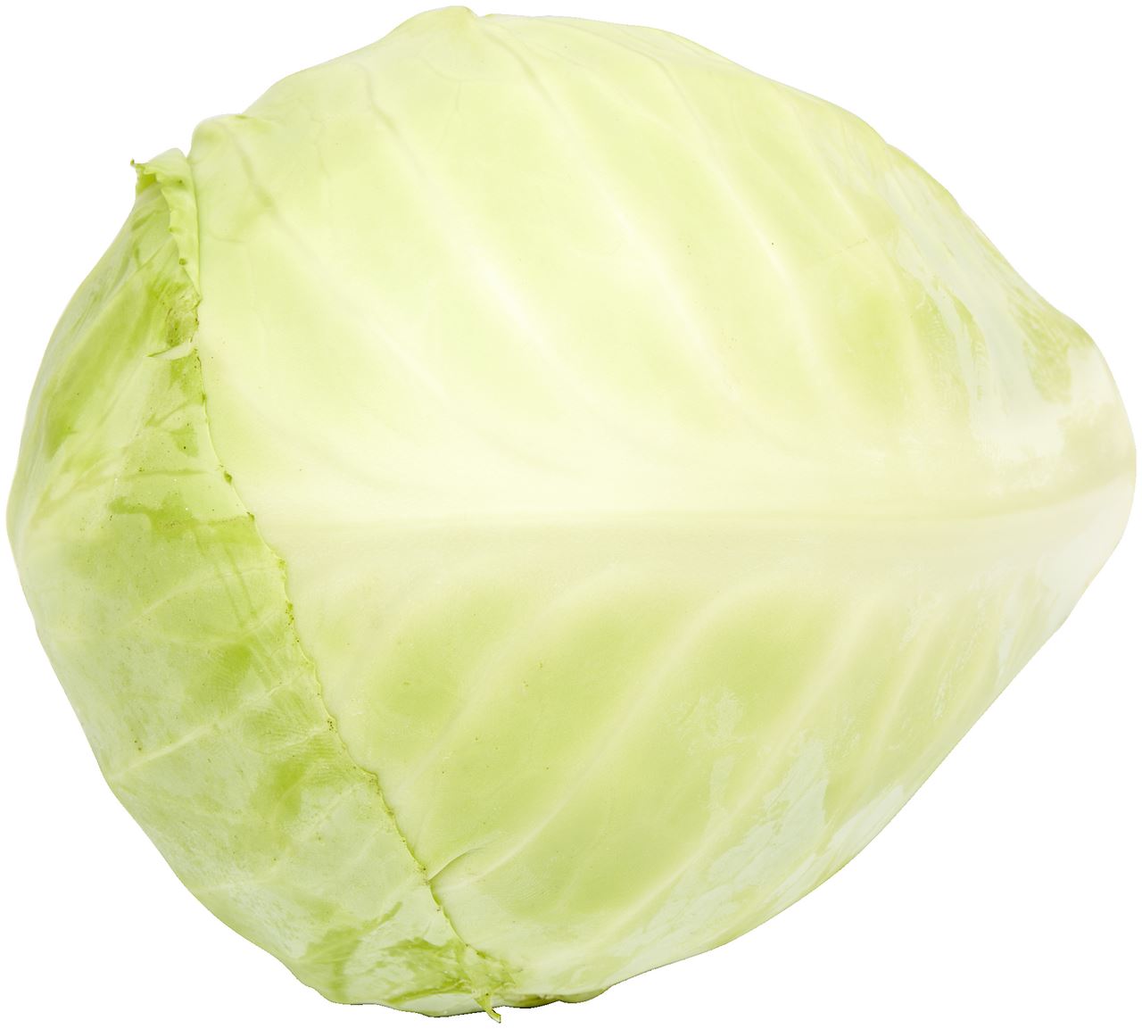 Witte Kool 1 stuk