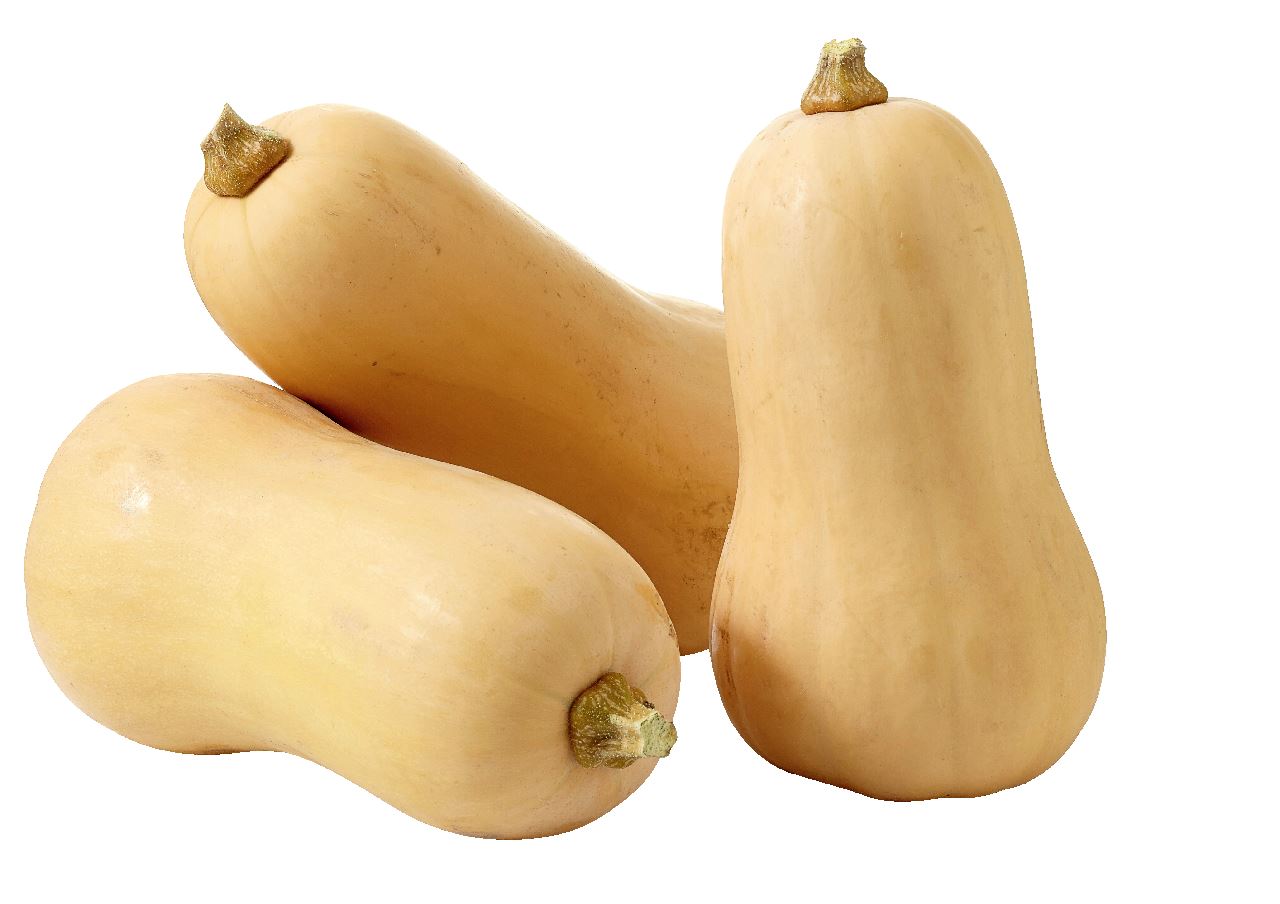 Flespompoen 1 stuks