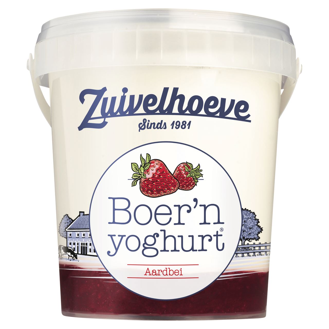 Zuivelhoeve Boern Yoghurt Aardbei 750 g