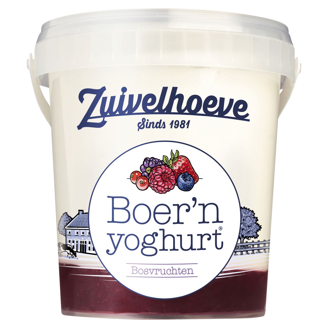 Zuivelhoeve Boern Yoghurt Bosvruchten 750 g